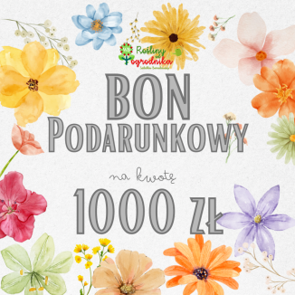 E-bon podarunkowy na kwotę...