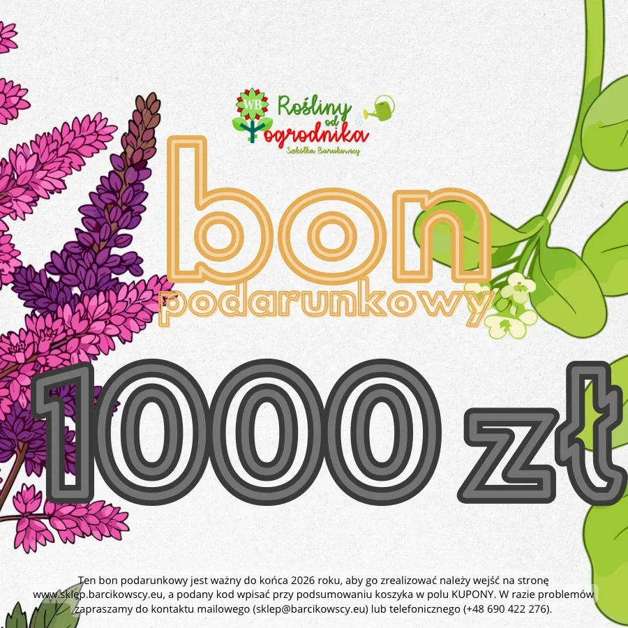 E-bon podarunkowy na kwotę 1000 zł - Rośliny od Ogrodnika Szkółka Barcikowscy