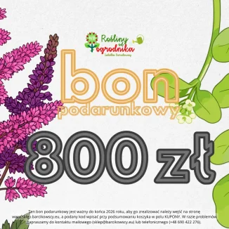 E-bon podarunkowy na kwotę 800 zł - Rośliny od Ogrodnika Szkółka Barcikowscy