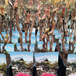 Paeonia Wu Long Peng Sheng Piwonia krzewiasta - Rośliny od Ogrodnika Szkółka Barcikowscy