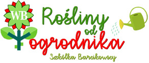Rośliny od Ogrodnika - Byliny Barcikowscy