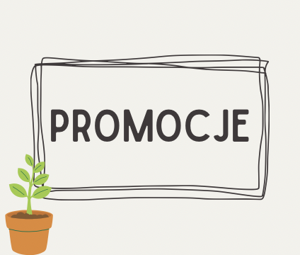 Promocje